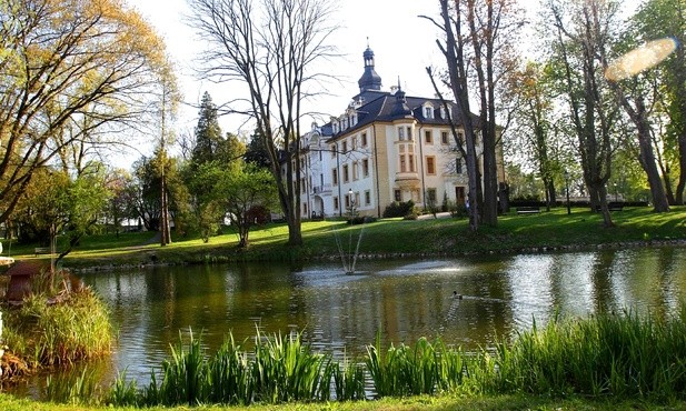 Kamień Śląski