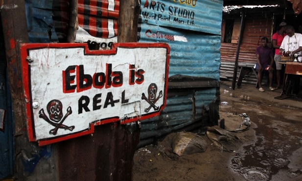 Eksperci apelują do rządów ws. eboli