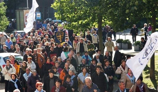 Bisów nie będzie