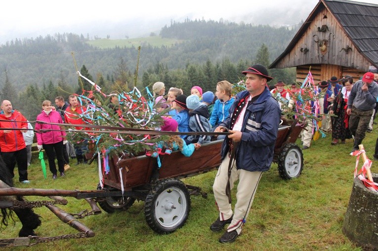 Owce wróciły z hal