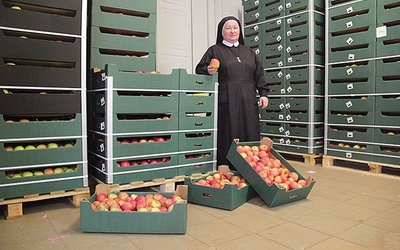  Siostra Wacława koordynowała akcję wydawania jabłek potrzebującym