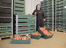  Siostra Wacława koordynowała akcję wydawania jabłek potrzebującym