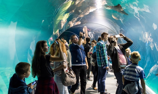 Afrykarium we Wrocławiu