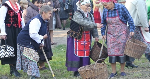 Członkowie zespołu ludowego pokazywali, jak kiedyś na wsi wygladały wykopki