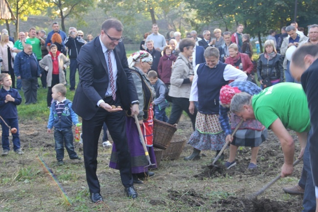 "Festiwal Ziemniaka" w Muzeum Wsi Radomskiej