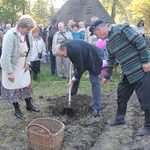 "Festiwal Ziemniaka" w Muzeum Wsi Radomskiej