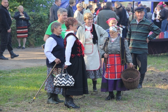 "Festiwal Ziemniaka" w Muzeum Wsi Radomskiej