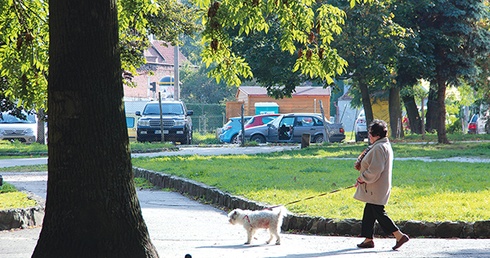  Czasem to pies wyprowadza seniora na spacer