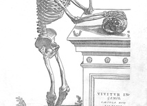 Szkielet człowieka przedstawiony w dziele Vesaliusa, które znajduje się w hosiańskiej bibliotece