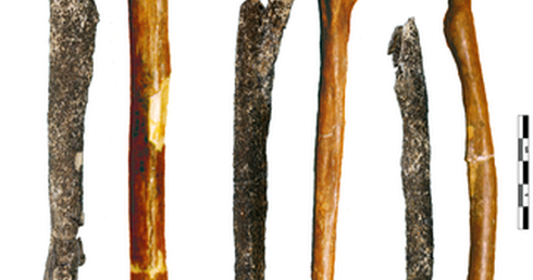 Odkryto kości sprzed 200 tys. lat