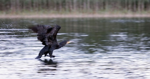 Wigry. Nie ma lepszego miejsca na rekolekcje