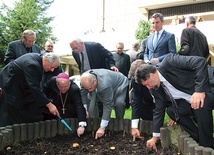  Sadzenie żonkili  – symboli akcji dla hospicjum