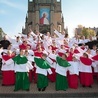 Służba Liturgiczna Ołtarza przy kościele Matki Bożej Szkaplerznej w Imielinie, czyli ministranci wysokich lotów