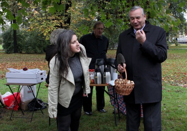 Sadzenie żonkili w Glwicach