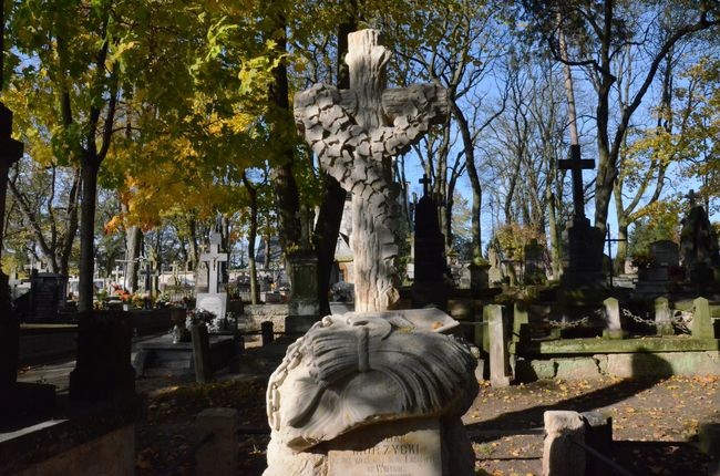 Cmentarz nałęczowski