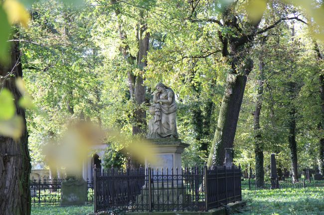 Lapidarium rzeźby nagrobnej we Wschowie