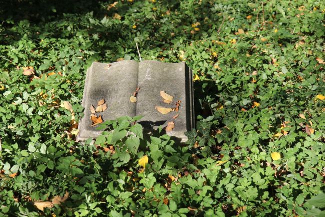 Lapidarium rzeźby nagrobnej we Wschowie