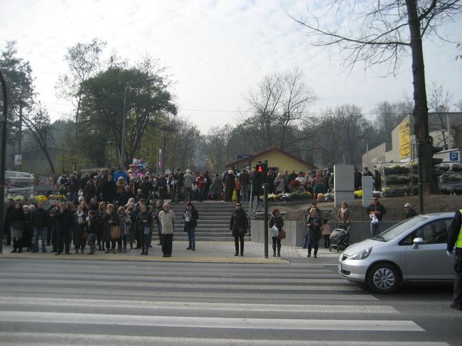 1 listopada 2014 na cmentarzu Podgórskim