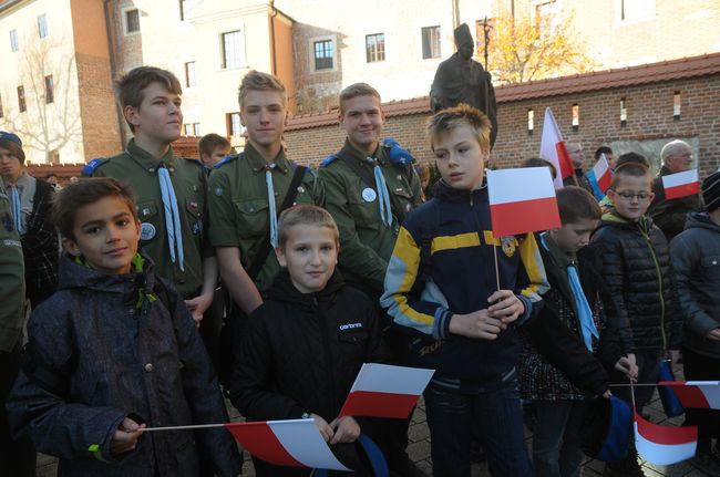 Święto Niepodległości w Krakowie - 2014. Cz. 2