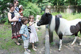  Wrocławskie zoo i trzebnicki aquapark, mimo że są objęte zniżkowym programem dla dużych rodzin z dwóch różnych gmin, honorują wzajemnie swoje zniżki. Taka współpraca jest wyjątkiem na skalę kraju. Na zdjęciu rodzina państwa Mokrzyckich