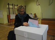 Wybory samorządowe - 2014