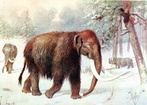 Mamut z Bełchatowa przebadany