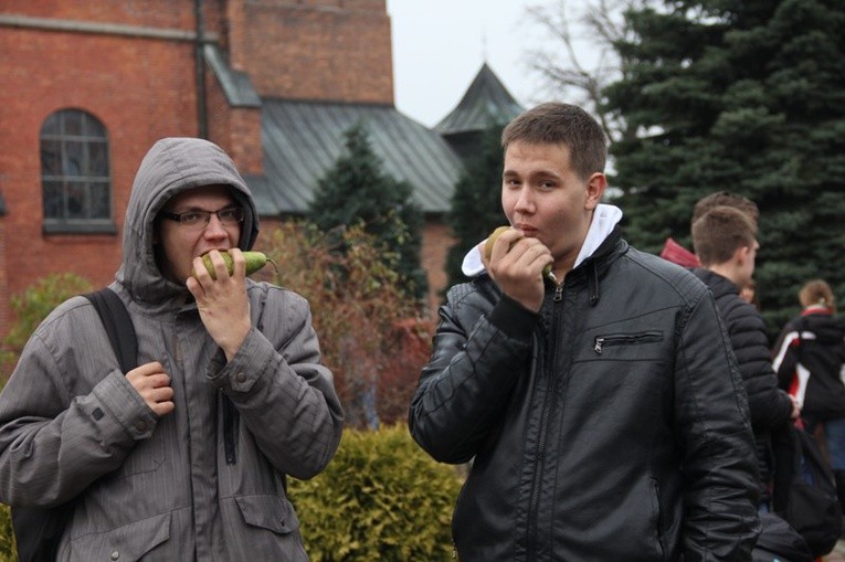 Pielgrzymka do Zabawy