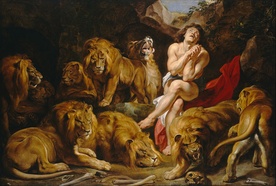 Daniel - obraz Rubensa