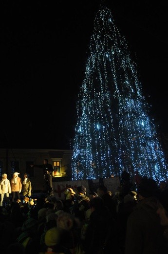 Choinka pod Oknem Papieskim