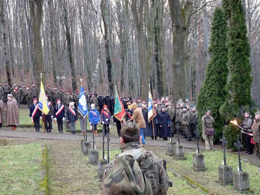 Łowczówek 2014