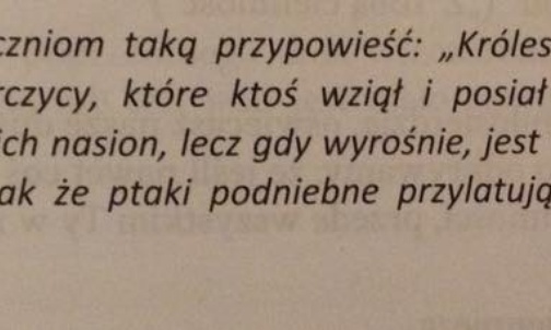 Święto młodości rozpoczęte