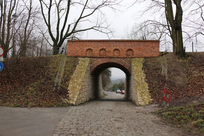 Zarośla zasłaniają kopiec Kościuszki