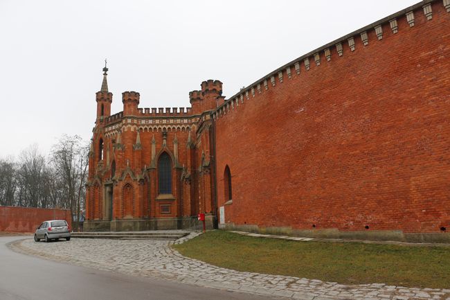 Zarośla zasłaniają kopiec Kościuszki