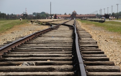 Byli więźniowie Auschwitz przed 70. rocznicą wyzwolenia obozu