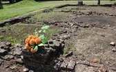 71. rocznica oswobodzenia KL Auschwitz