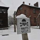 Papież w rocznicę wyzwolenia Auschwitz