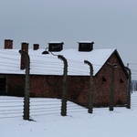 Obchody 70. rocznicy wyzwolenia Auschwitz-Birkenau