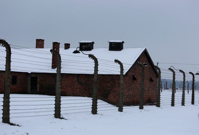 Obchody 70. rocznicy wyzwolenia Auschwitz-Birkenau