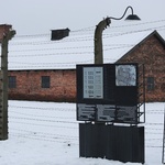 Obchody 70. rocznicy wyzwolenia Auschwitz-Birkenau