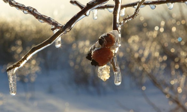 Niska temperatura otoczenia sprzyja odchudzaniu