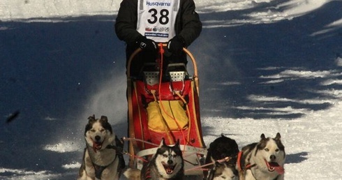 Wyścigi psich zaprzęgów