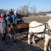 Warsztaty w stadninie w Budach Grabskich