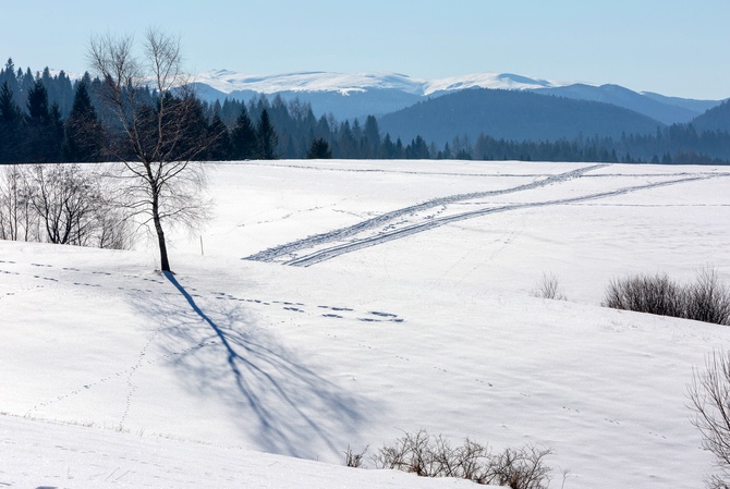 Bieszczady