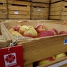 Jabłka z programu Embargo dla Caritas