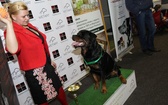 Międzynarodowa wystawa psów w Drzonkowie