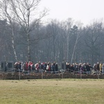 Droga Krzyżowa o trzeźwość narodu w KL Auschwitz-Birkenau