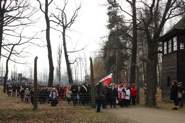 Droga Krzyżowa o trzeźwość narodu w KL Auschwitz-Birkenau