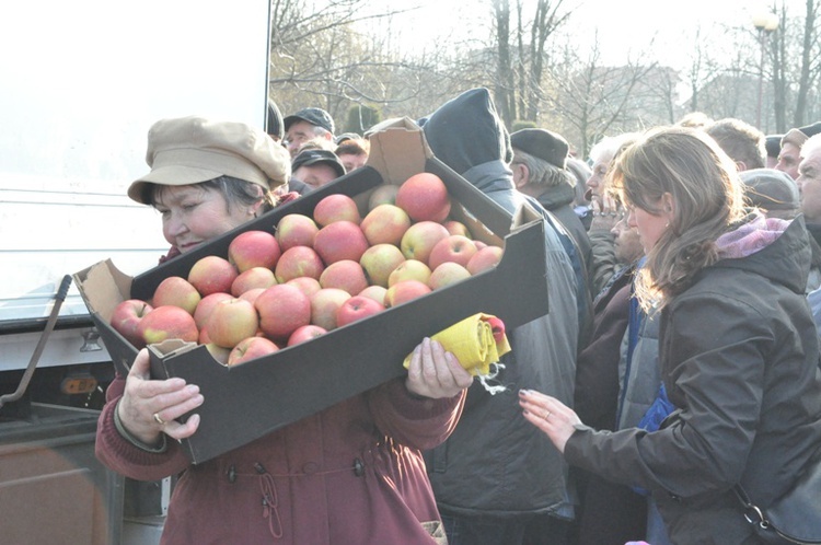 Jabłka w Brzesku