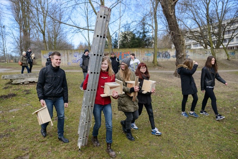 Budki w Parku Szelągowskim