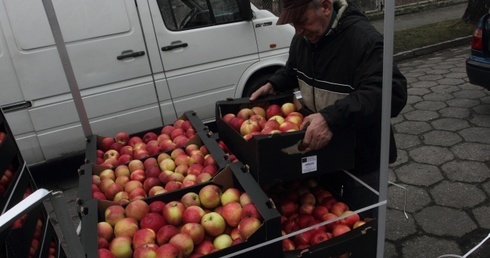 Rozdawali jabłka